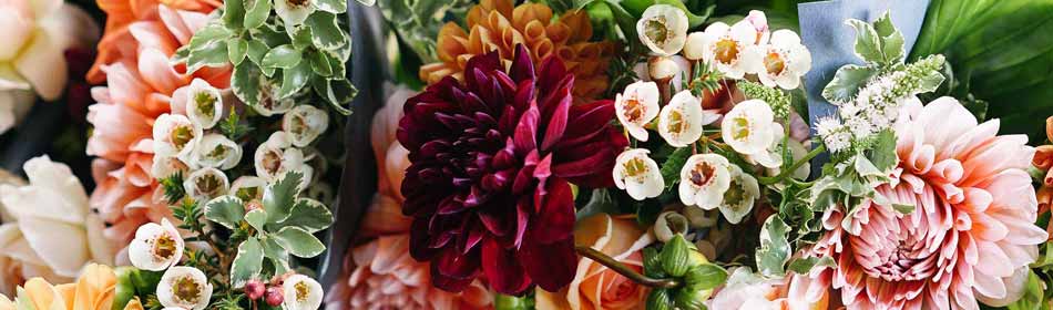 Florists, Floral Arrangements, Bouquets in the Bensalem, Bucks County PA area